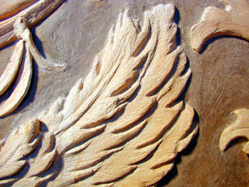 Transfer of fragments of a stucco by Giovanni Simonetti